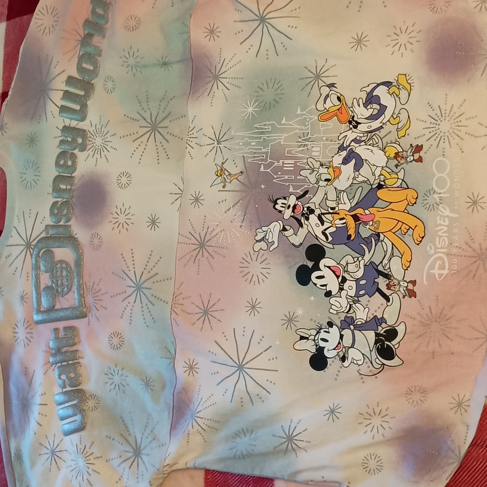 Disney 100 Spirit jersey